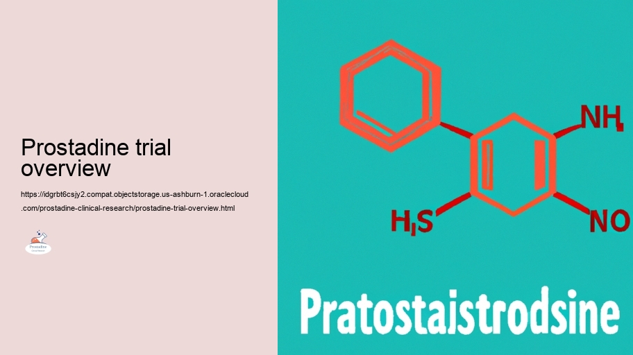 Evaluating the Efficacy of Prostadine in Prostate Health