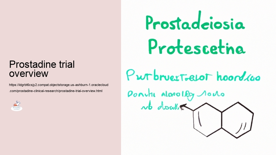 Enduring Influences: Recognizing the Long Term Usage Prostadine