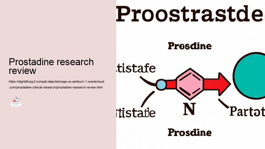Security And Safety Account: Analyzing the Threats of Prostadine in Scientific Researches
