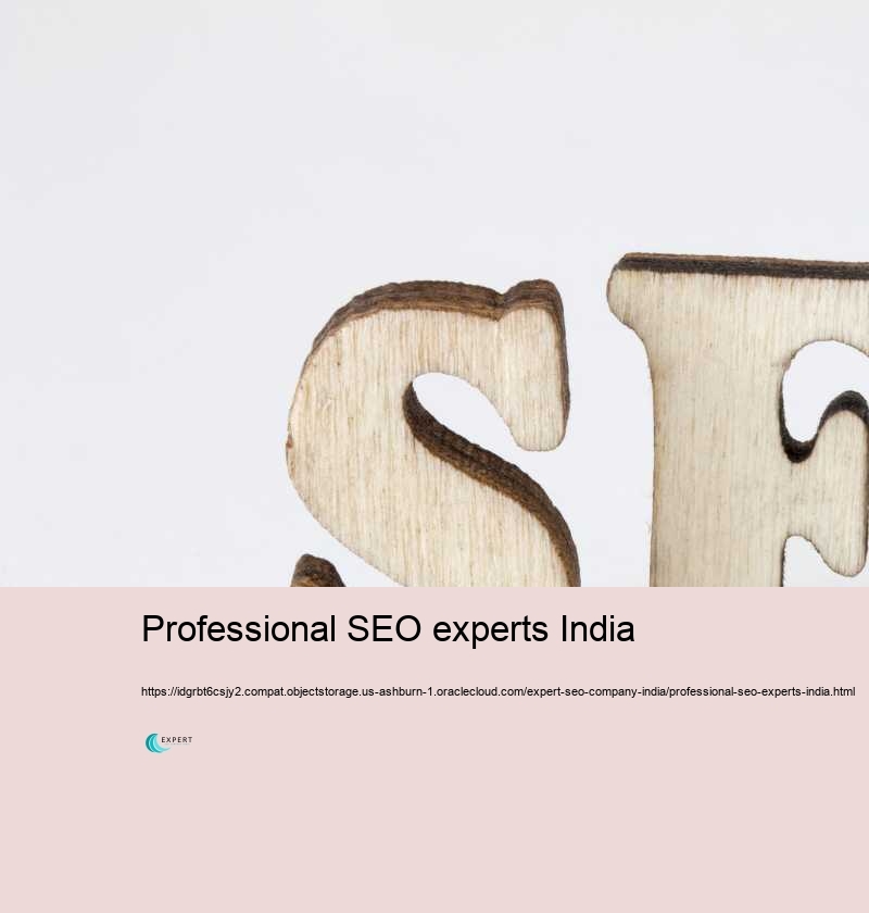 Professional SEO experts India