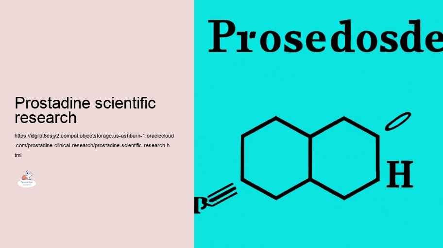 Reviewing the Effectiveness of Prostadine in Prostate Health And Health