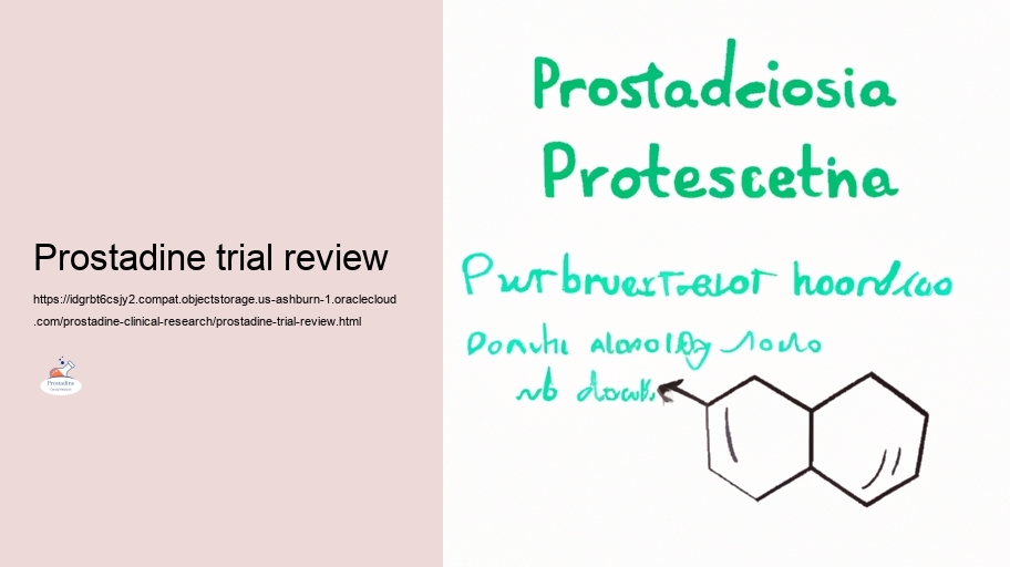 Enduring Results: Understanding the Long-term Usage Prostadine
