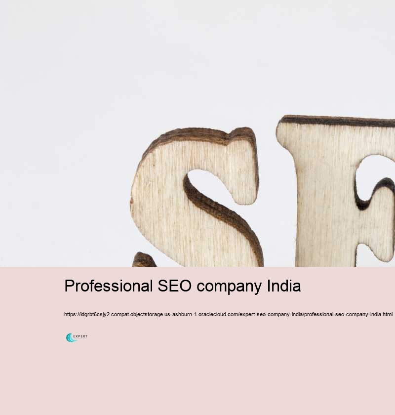 Professional SEO company India