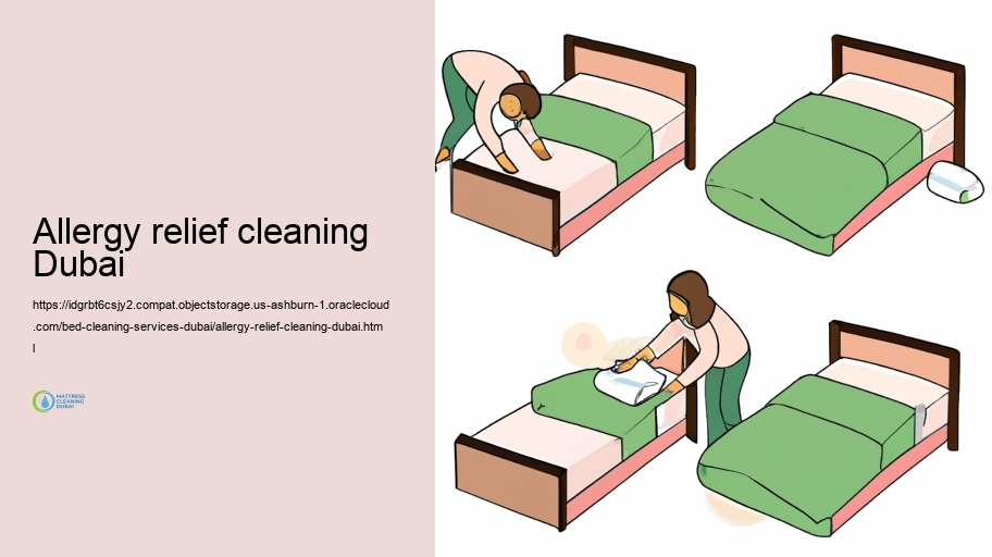 Our Bed Cleansing Increase: Step-by-Step