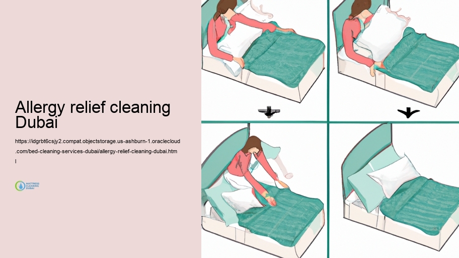 Eco-Friendly Bed Cleansing Solutions