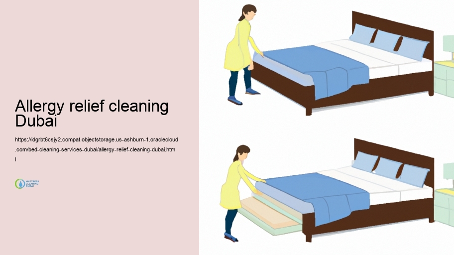 Eco-Friendly Bed Cleansing Solutions