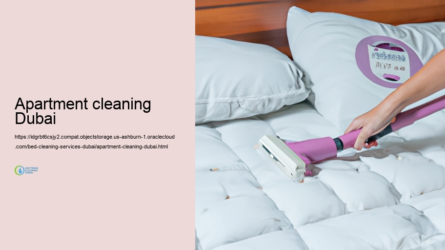 Our Bed Cleansing Refine: Step-by-Step