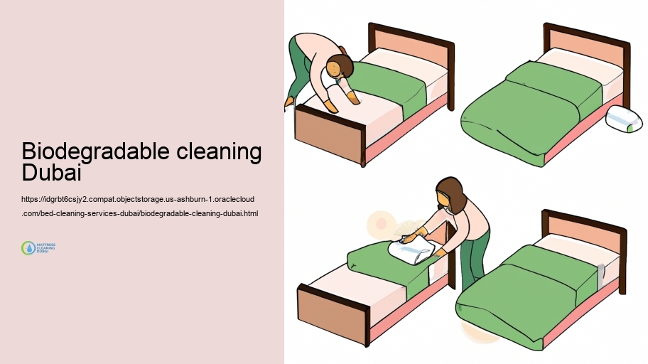 Our Bed Cleaning Enhance: Step-by-Step