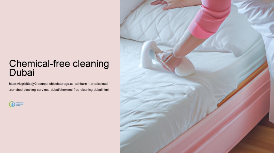 Regular Bed Cleaning up Barriers and Solutions