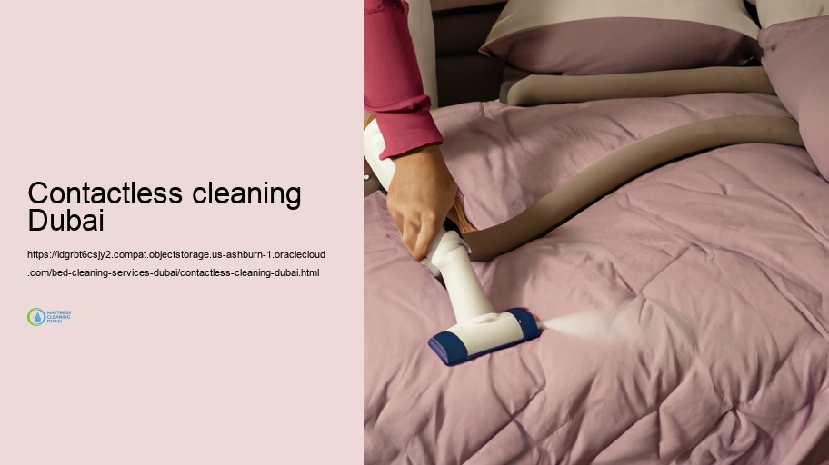 Our Bed Cleaning Fine-tune: Step-by-Step