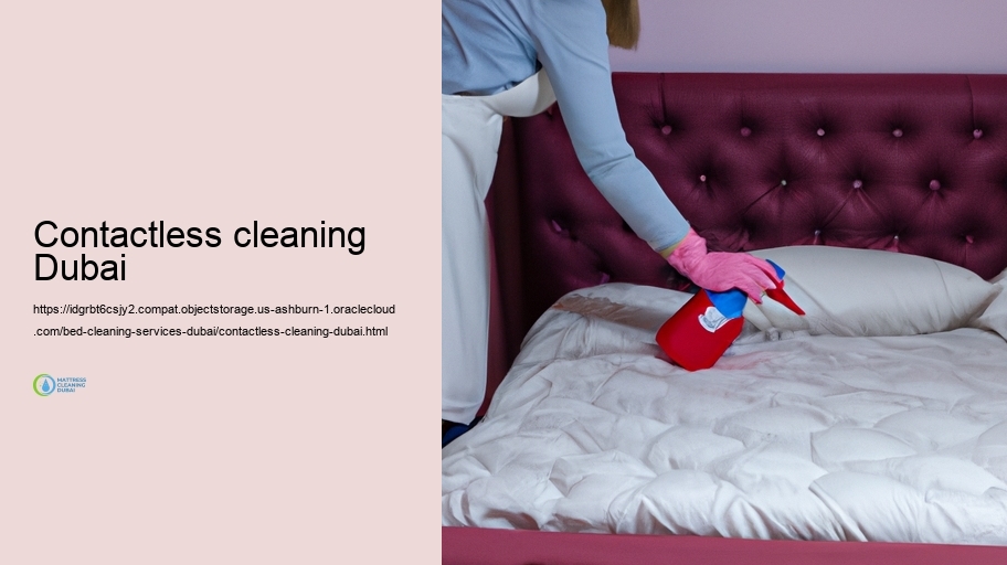 Usual Bed Cleaning up Obstacles and Solutions