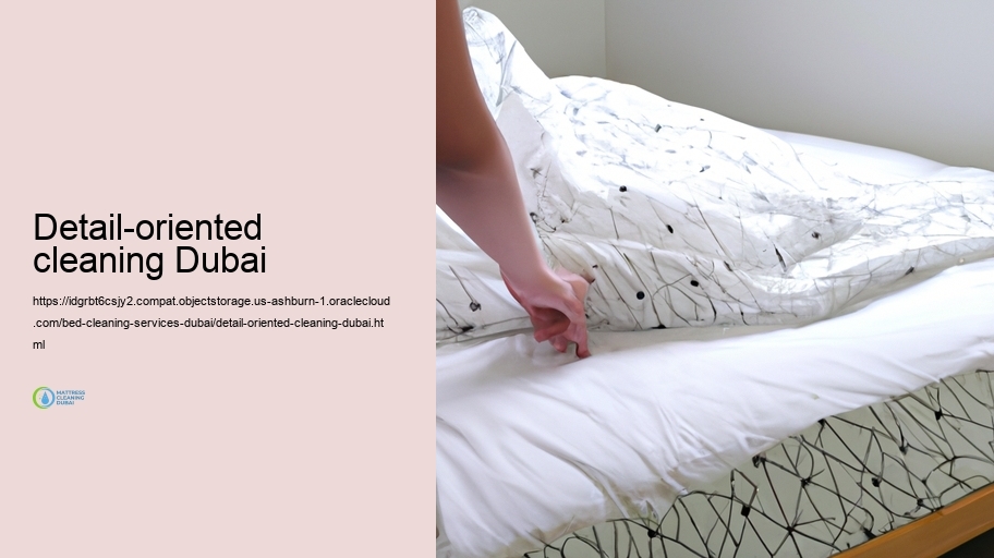 Our Bed Cleansing Process: Step-by-Step