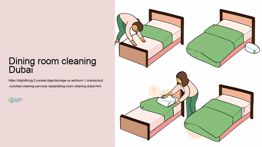 Typical Bed Cleansing Difficulties and Solutions