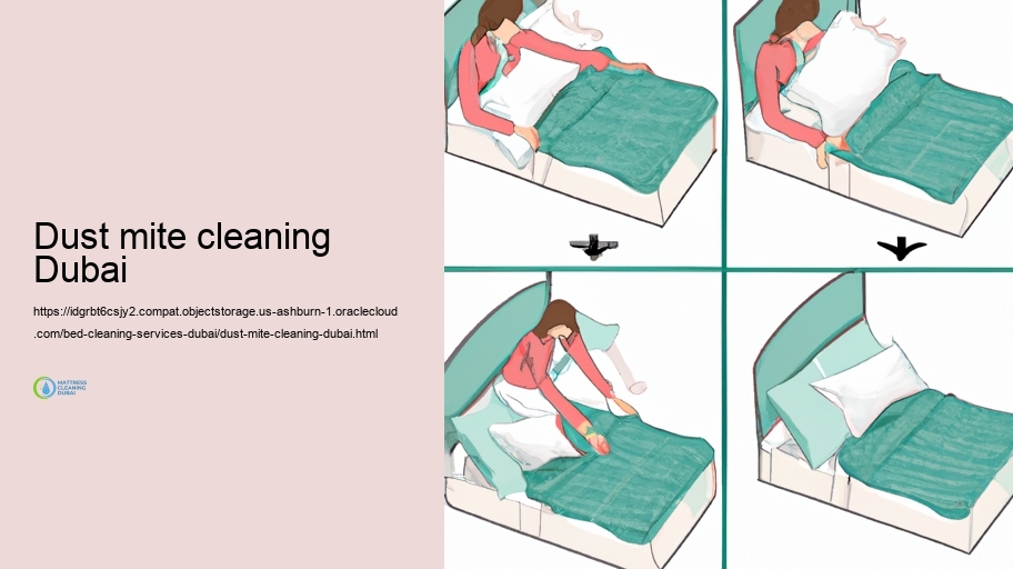 Usual Bed Cleansing Troubles and Solutions