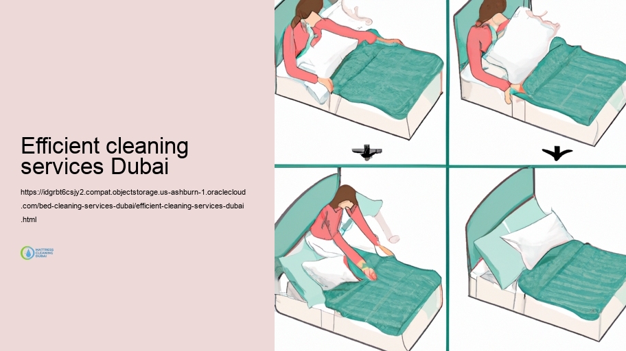 Our Bed Cleansing Fine-tune: Step-by-Step