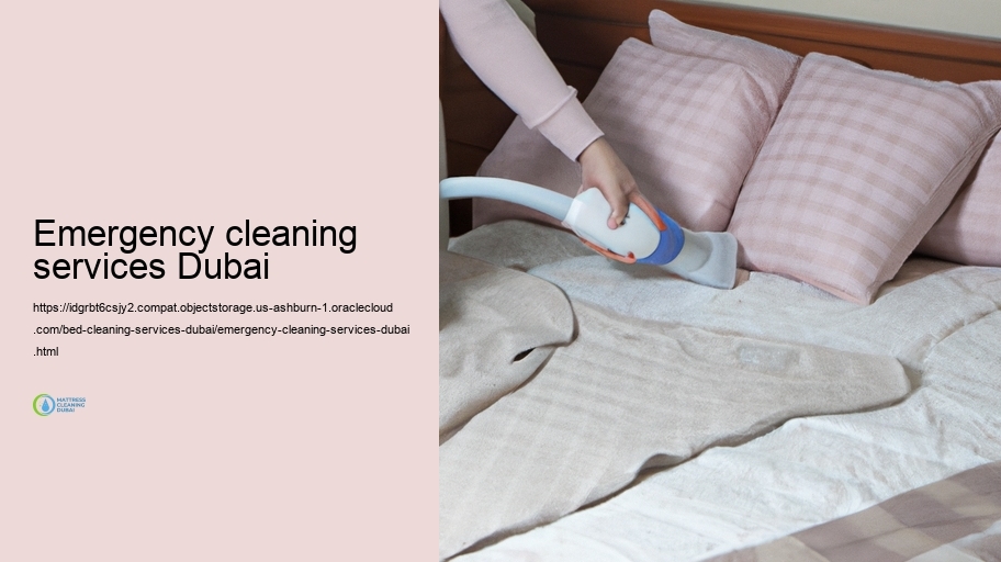 Our Bed Cleansing Enhance: Step-by-Step