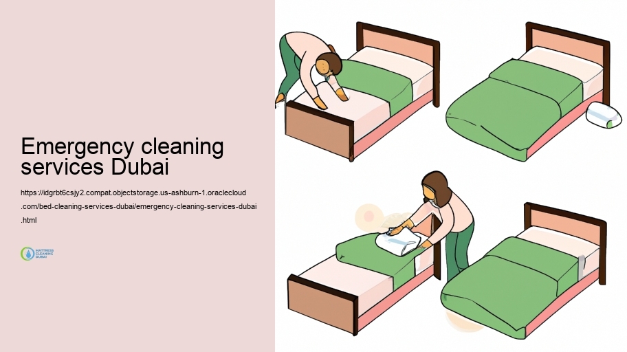 Eco-Friendly Bed Cleansing Solutions