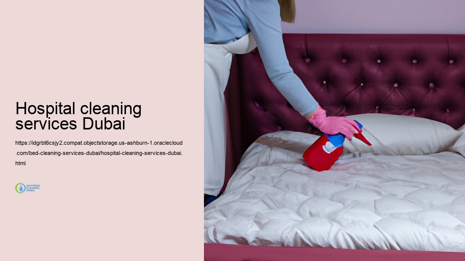 Our Bed Cleaning up Enhance: Step-by-Step