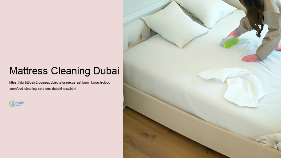 Usual Bed Cleansing Difficulties and Solutions