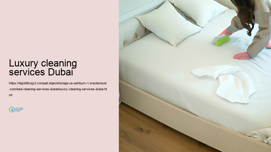 Our Bed Cleaning Fine-tune: Step-by-Step