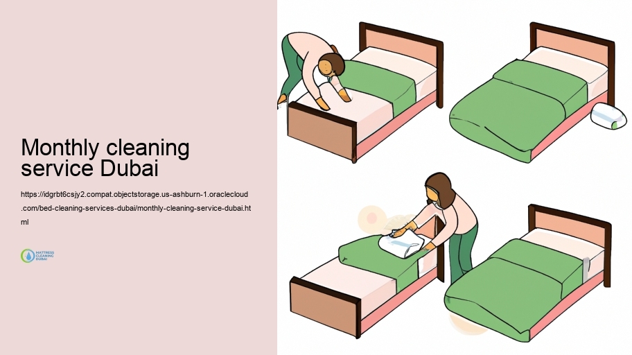 Our Bed Cleaning Increase: Step-by-Step