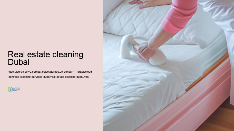 Our Bed Cleansing Refine: Step-by-Step