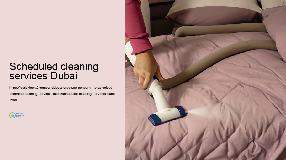 Our Bed Cleaning up Refine: Step-by-Step