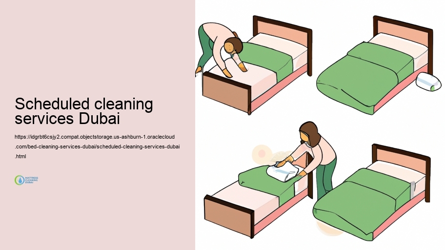 Eco-Friendly Bed Cleaning Solutions