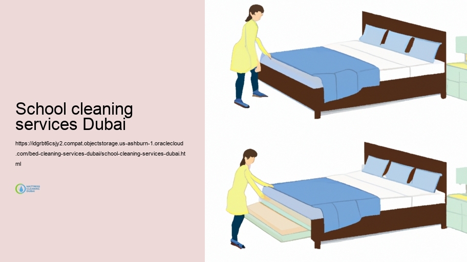 Our Bed Cleaning up Enhance: Step-by-Step