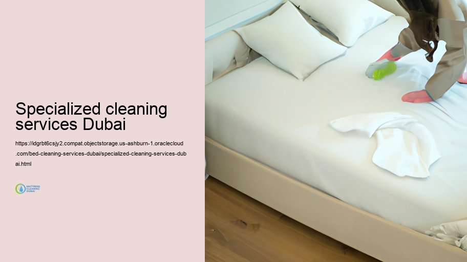 Our Bed Cleaning Fine-tune: Step-by-Step