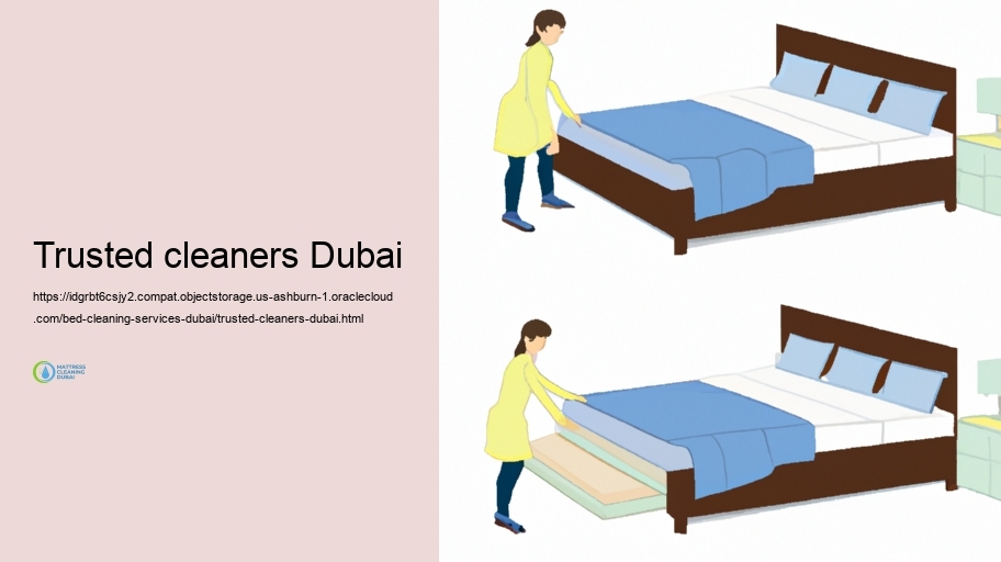 Normal Bed Cleaning Obstacles and Solutions