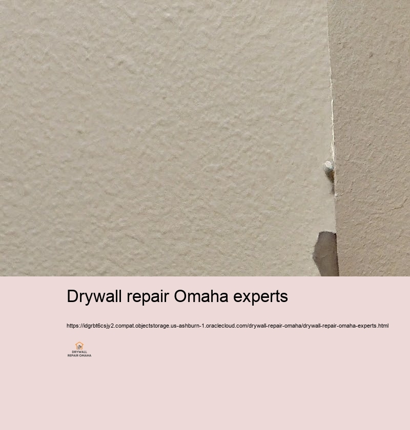 Economical Drywall Repairing Solutions in Omaha