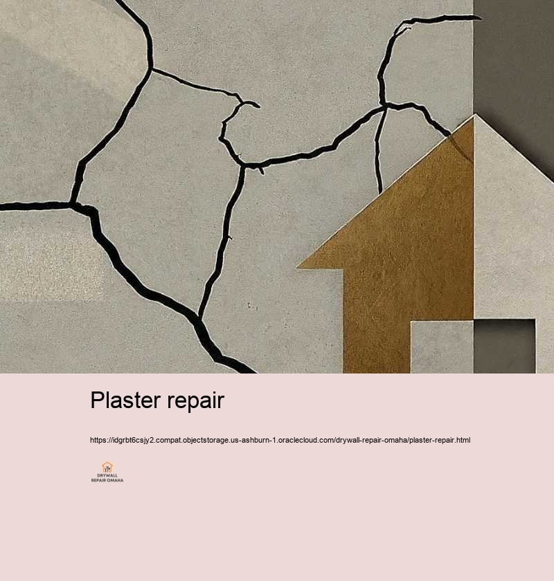 Plaster repair