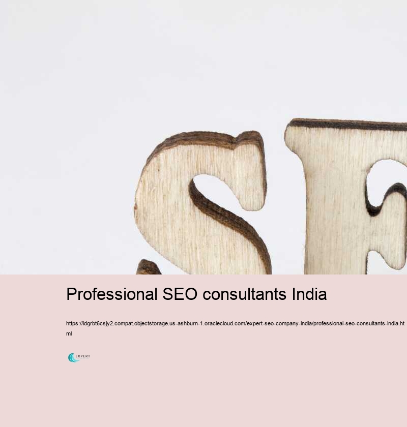 Professional SEO consultants India