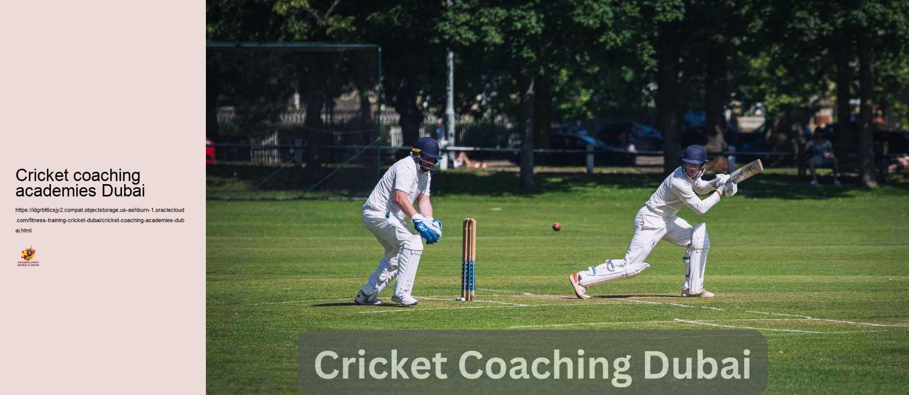 Cricket coaching academies Dubai