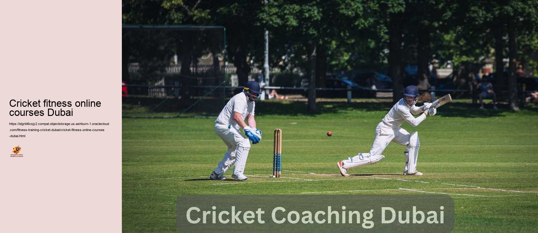 Cricket fitness online courses Dubai