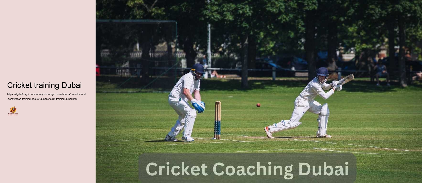 Cricket training Dubai