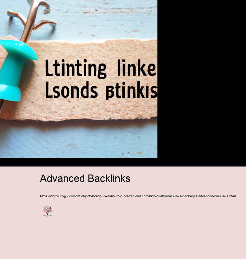 Searching the Option of Back links Packages: What to Look for