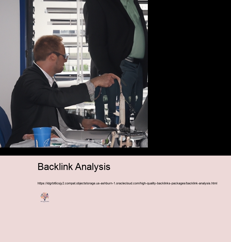 Examining the Success of Your Backlink Investments