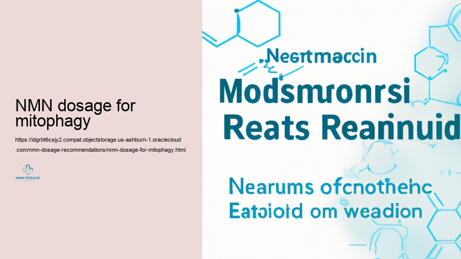 Lasting Use: Readjusting NMN Dosage Gradually