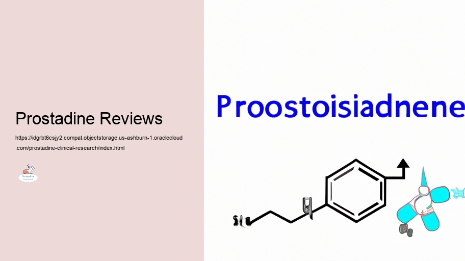Evaluating the Performance of Prostadine in Prostate Health