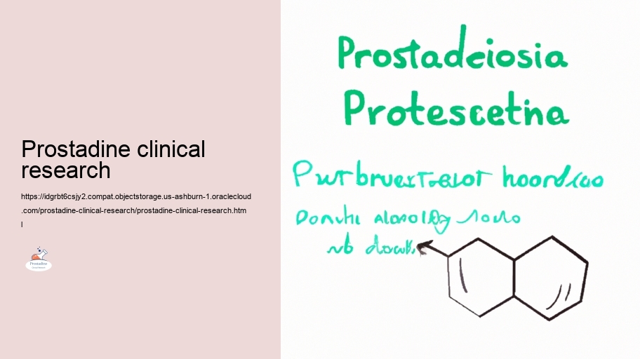 Security And Security Profile: Assessing the Risks of Prostadine in Medical Researches
