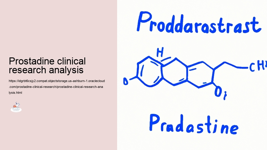 Safety and security Profile: Taking a look at the Risks of Prostadine in Scientific Research studies