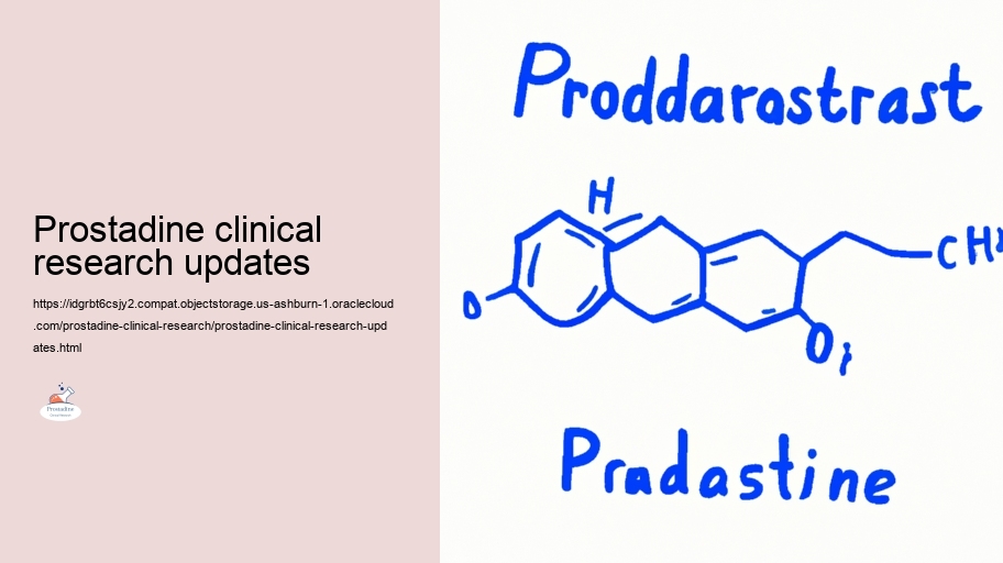 Evaluating the Performance of Prostadine in Prostate Health and wellness