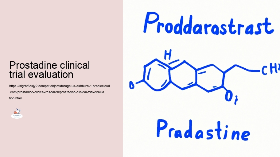 Taking a look at the Efficacy of Prostadine in Prostate Health