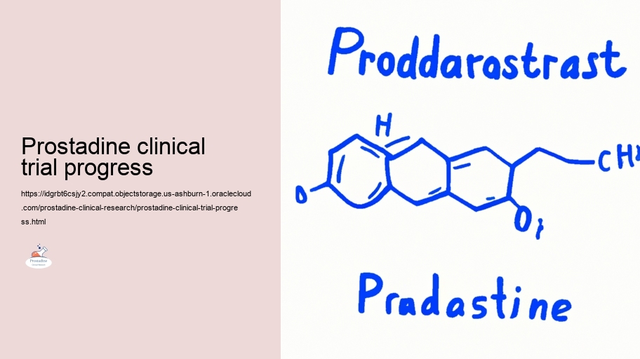 Evaluating the Efficiency of Prostadine in Prostate Wellness