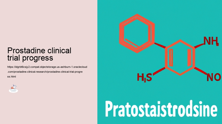 Protection Profile: Evaluating the Risks of Prostadine in Expert Researches