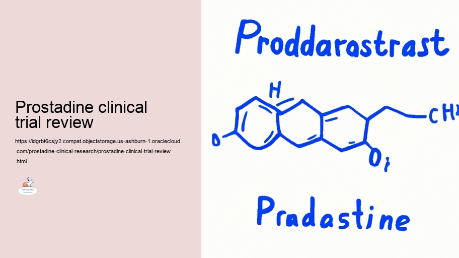 Evaluating the Effectiveness of Prostadine in Prostate Health and wellness