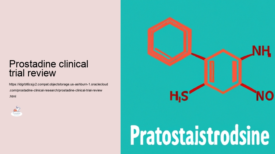 Safety and security Profile: Analyzing the Risks of Prostadine in Specialist Research Researches