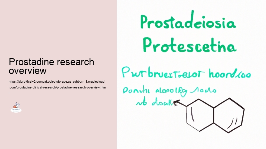 Safety and security Profile: Evaluating the Dangers of Prostadine in Scientific Researches